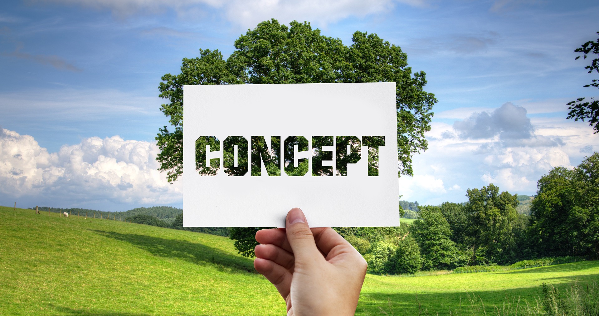 Creative Design and Production